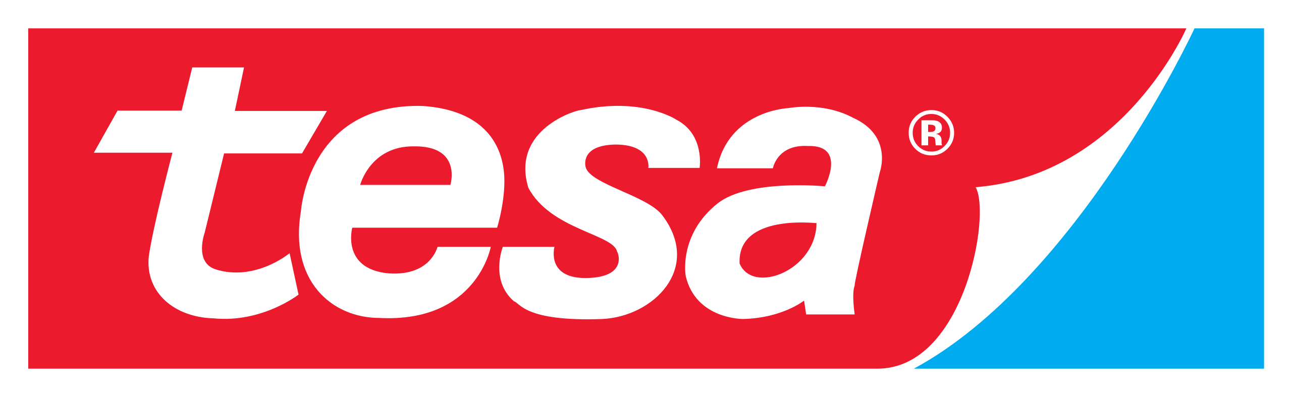 tesa logo